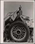 Mechanical corn picker. Grundy County, Iowa