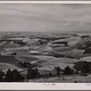 Wheat fields from Winchester Hill. Nez Perce County, Idaho