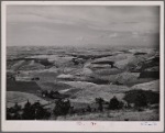 Wheat fields from Winchester Hill. Nez Perce County, Idaho