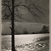 Snow scene. New Hampshire. 1936