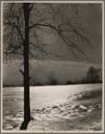 Snow scene. New Hampshire. 1936