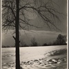 Snow scene. New Hampshire. 1936