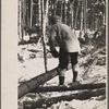 Felling pulpwood, Coos County, New Hampshire. 1936