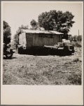 Squatter's camp on a dump outside of Sacramento, Calif. "Built this so that if they run us out, I can take my home with me"
