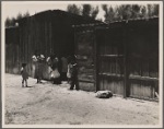 Mexican family. Brawley County, Imperial Valley, California