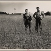 Homesteaders. Hightstown, New Jersey