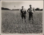 Homesteaders. Hightstown, New Jersey
