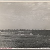 Cumberland Homesteads, Crossville, Tennessee.