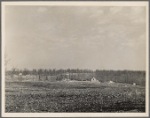 Cumberland Homesteads, Crossville, Tennessee.