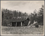 Tennessee, Cumberland Mountains.