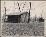 Shack in Tennessee.
