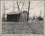 Shack in Tennessee.