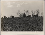 General vista of houses and field, Cumberland Homesteads. Crossville, Tennessee.