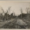 New road at the Wilson Cedar Forest Project near Lebanon, Tennessee.