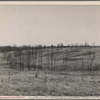 Gully control in Coalins [i.e. Coraline] Forest and Game Reservation, between Tennessee and Cumberland river, in Kentucky.