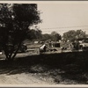 Migrant camp on the outskirts of Sacramento on the American River. Approximately 30 families lived in this camp in November 1936