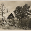 Cedar shelter with cedar trees standing at the Cedar Forest Project near Lebanon, Tennessee.