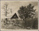 Cedar shelter with cedar trees standing at the Cedar Forest Project near Lebanon, Tennessee.