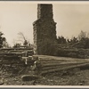 Cedar logs which have been cut while making new right of way at Wilson Cedar Forest Project near Lebanon, Tennessee.