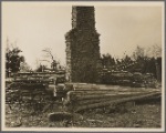 Cedar logs which have been cut while making new right of way at Wilson Cedar Forest Project near Lebanon, Tennessee.