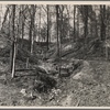 Check dam to prevent hillside erosion at Shelby Forest Recreational Demonstration Project near Memphis, Tennessee.