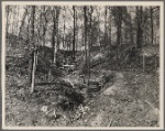 Check dam to prevent hillside erosion at Shelby Forest Recreational Demonstration Project near Memphis, Tennessee.