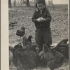 Child with chickens