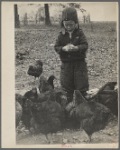 Child with chickens