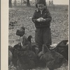 Child with chickens