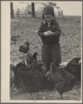 Child with chickens