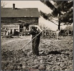 Farmer's wife near Gibbs City, Michigan