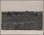 Farm and land optioned by Resettlement Administration for part-time farming. Near Bethlehem, Pennsylvania.