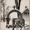 Watering trough, Lancaster, New Hampshire