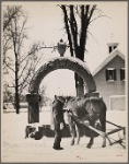 Watering trough, Lancaster, New Hampshire