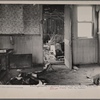 Dwelling, uninhabited, on proposed wild life area near Easton, Pennsylvania.