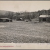Farm on submarginal land optioned for wild life area. Pennsylvania.