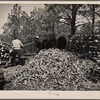 Piling fence posts. Pine Ridge, Dawes County, Neb