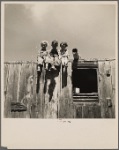 Children of small sheep rancher. Converse, Wyoming