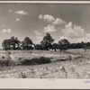 Badly eroded land, farmhouse in the background, near Farmville, Virginia.