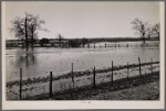 Submerged farmland near Tiptonville, Tennessee (?), during the 1937 flood.