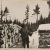 Loading pulpwood. Coos County, New Hampshire
