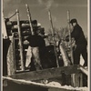 Unloading pulpwood. Coos County, New Hampshire. 1936