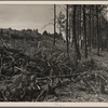 Cut over land. Pine Ridge, Nebraska