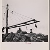 Loading logs. McMinnville, Oregon