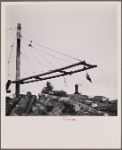 Loading logs. McMinnville, Oregon