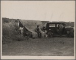 California migratory farm laborers-drought refugees from Oklahoma-camped in the brush on the river bottom with no water or sanitation. On the outskirts of Brawley, Imperial Valley, Calif.