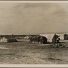 The mecca of hundreds of drought refugees seeking work and resettlement. Cotton and potatoes provide employment. Squatter camp in Kern County, California