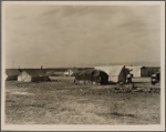 The mecca of hundreds of drought refugees seeking work and resettlement. Cotton and potatoes provide employment. Squatter camp in Kern County, California