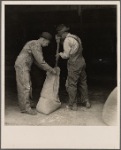 Farmers sacking grasshopper bait. Oklahoma City, Oklahoma