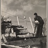 Farmer unloading pulpwood. Coos County, New Hampshire. 1936